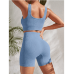 Plain Women’s Stretchy Gym Sets Yoga Blue